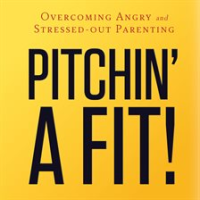 Pitchin__a_Fit_